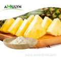 Food Grade Fresh Fruit Juice Concentrate Pineapple Powder